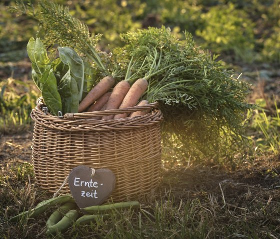 Wochenmarkt, &copy; REMET