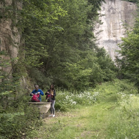 Rast an der Tuffsteinwand, &copy; Kappest/Vulkanregion Laacher See