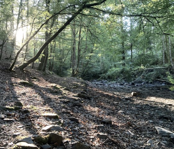 Natur, &copy; M. Schmitz