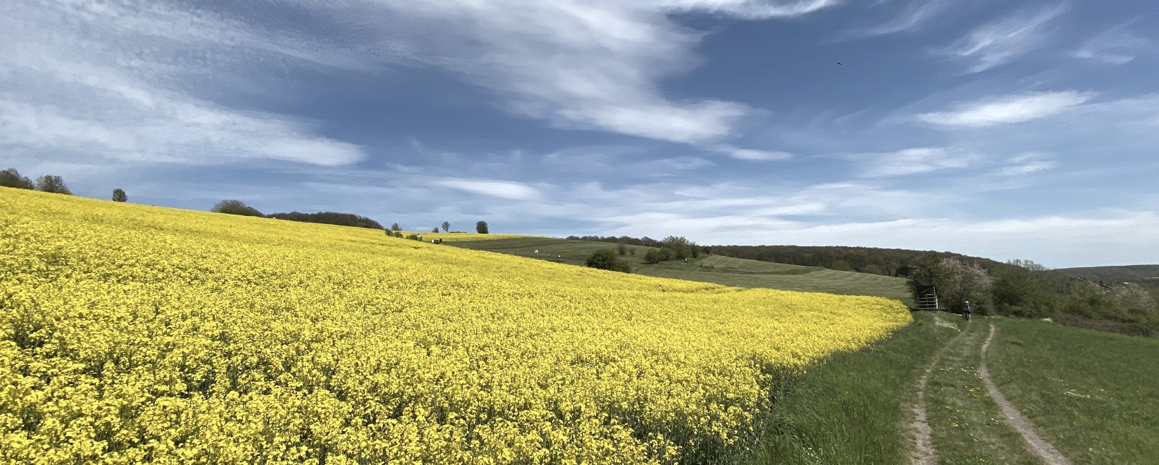 Eifellandschaft Niederd&uuml;renbach, &copy; Christof B&uuml;rger
