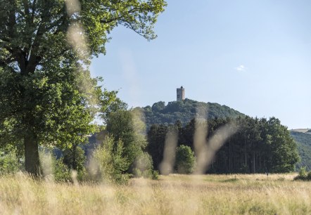 Cache Laachus hat Hunger in Spessart, &copy; Kappest/Vulkanregion Laacher See