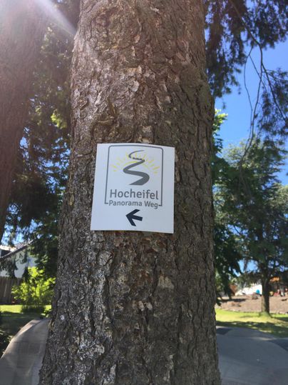 Ein Schild mit der Aufschrift 'Hocheifel Panorama Weg' ist an einem Baum befestigt, mit einem Pfeil nach links. Im Hintergrund sind Bäume und blauer Himmel zu sehen.