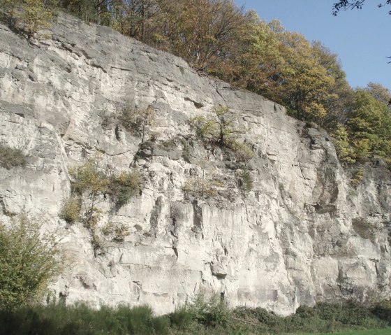 Tuffsteinwand in Rieden, &copy; VG Mendig/Neideck