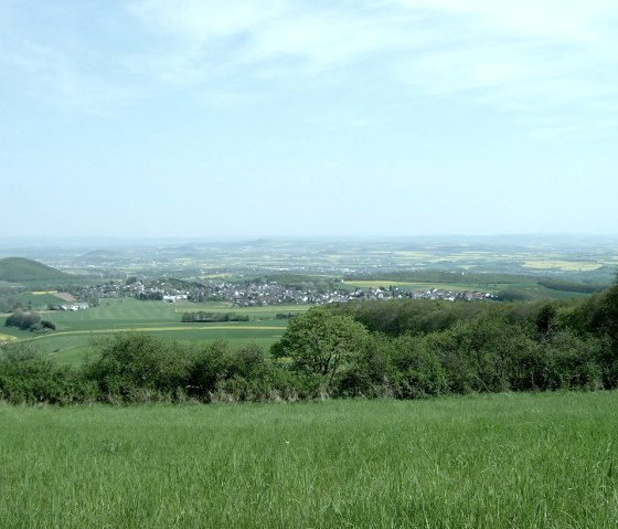 Weite Blicke vom G&auml;nsehalsturm, &copy; VG Mendig/Neideck
