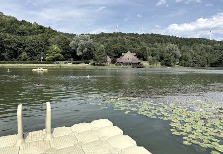 Blick auf die Badestelle am Waldsee Rieden, © Eifel Tourismus
