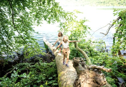 Wanderspa&szlig; am Laacher See Ufer, &copy; Eifel Tourismus GmbH, Dominik Ketz