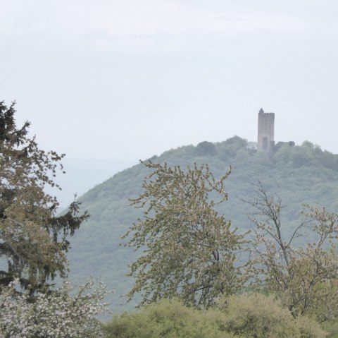 eroeffnung-4-doerfer-weg-spessart-1, © VG Brohltal