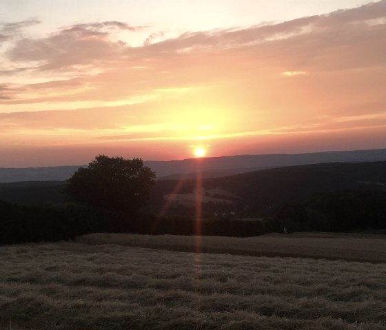 Schöne Aussicht, © Gabriele Arzdorf