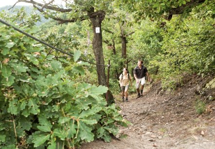 Rheinburgenweg, &copy; Dominik Ketz / Romantischer Rhein Tourismus GmbH