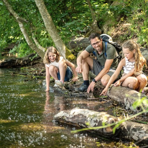Pellenzer Seepfad Laacher See - Mofetten, &copy; Eifel Tourismus GmbH, Dominik Ketz