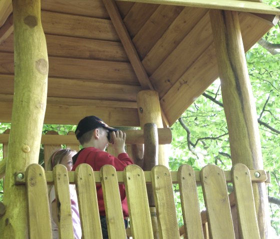 For&ecirc;t de l'aventure Steinrausch, &copy; VG Brohltal