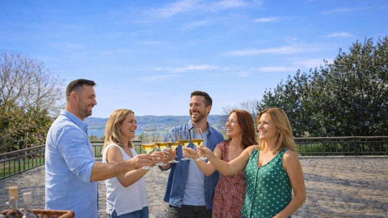 Eine Gruppe von fünf Freunden stößt mit Gläsern an. Die Szene findet an einem sonnigen Tag im Freien mit schönen Ausblicken statt.