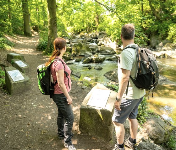 Parc Rauscher, © Eifel Tourismus GmbH/Dominik Ketz