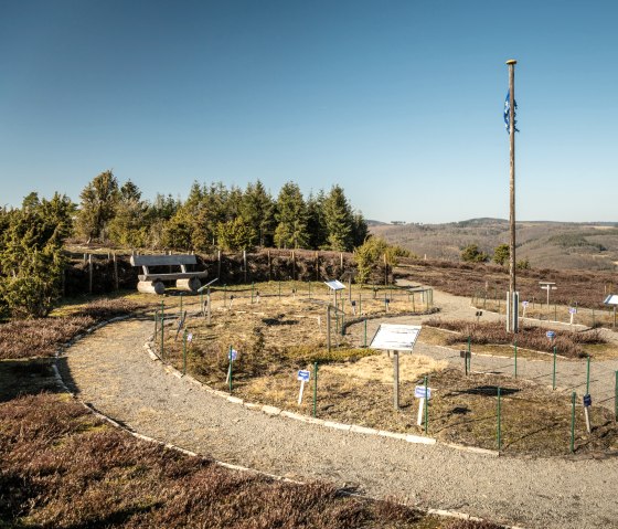 Uitzicht vanaf de Wabelsberg op het Traumpfad Wacholderweg, © Eifel Tourismus GmbH, D. Ketz