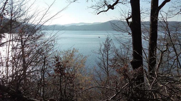 Ein ruhiger See umgeben von Bäumen und sanften Hügeln im Hintergrund. Das Wasser spiegelt das Sonnenlicht und schafft eine friedliche Atmosphäre.