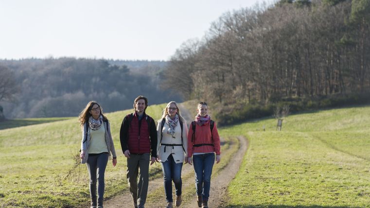 Eine Gruppe von vier Personen geht auf einem Weg durch eine grüne Landschaft. Im Hintergrund sind Bäume und ein klarer Himmel zu sehen.