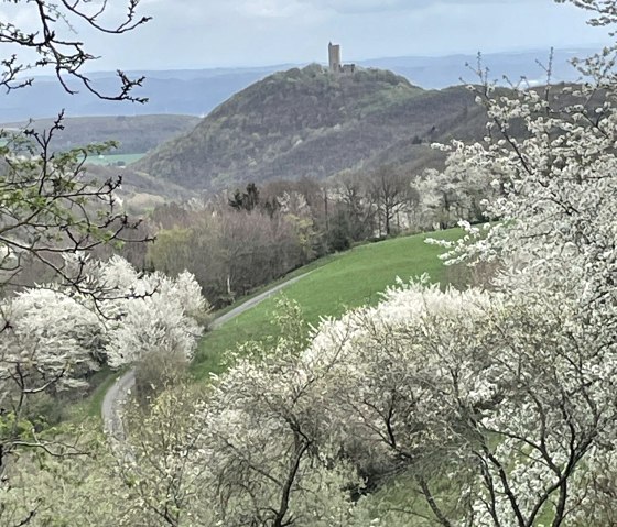 Fr&uuml;hling, &copy; Gabriele Arzdorf