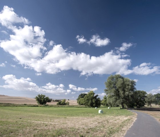 Radweg, &copy; Vulkanregion / Kappest