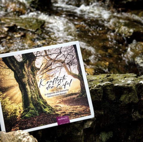 Buch, &copy; Regine Br&uuml;hl