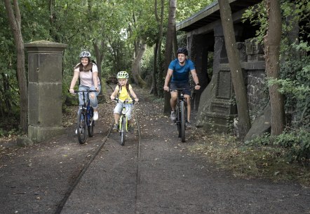 Rad1, &copy; Vulkanregion / Kappest