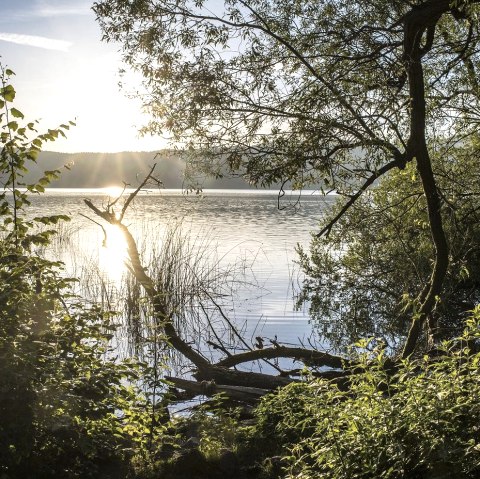 Laacher See, © Kappest/Vulkanregion Laacher See