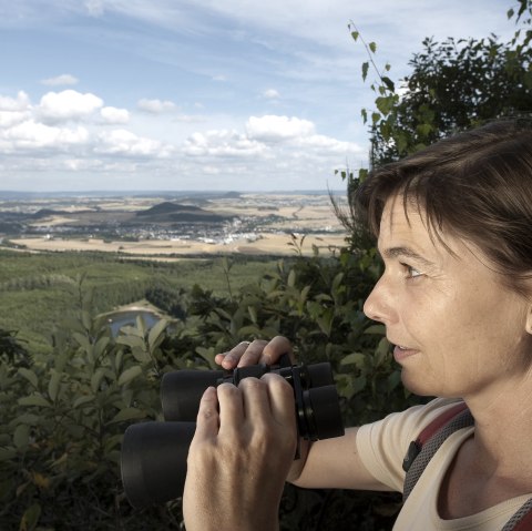 Weitblicke vom Traumpfad "Pellenzer Seepfad", &copy; Kappest/Remet