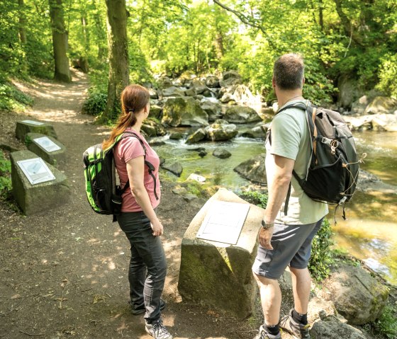Infotafel im Rauscherpark, &copy; Eifel Tourismus GmbH/Dominik Ketz