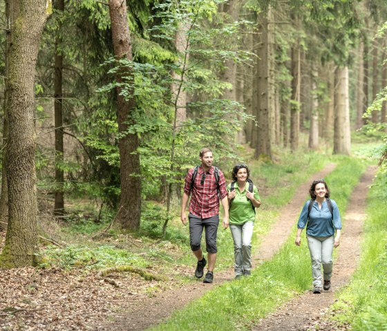 Wandeling door bospassage op de Eifelladder, © Eifel Tourismus GmbH, D. Ketz