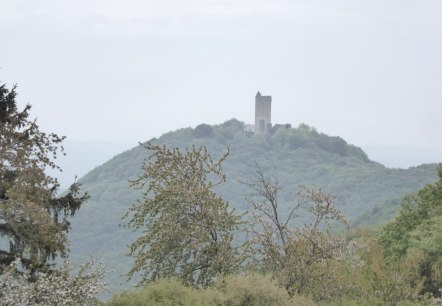 opening-4-doerfer-path-spessart-1, © VG Brohltal