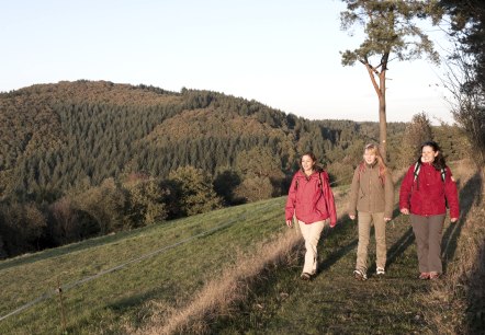 Drei Frauen wandern auf einem Pfad durch eine herbstliche Landschaft. Im Hintergrund sind bewaldete Hügel zu sehen., © Traumpfade/Kappest