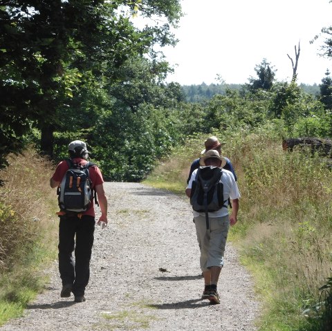Lubentiusweg, &copy; Manfred Schlich