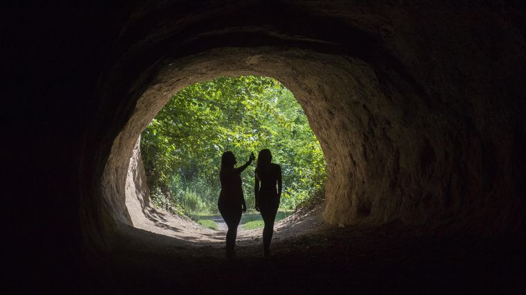 Zwei Silhouetten stehen in einer Höhle und blicken ins Freie. Draußen sind Bäume und grünes Licht zu sehen.