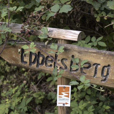Eppelsberg Schild, © Kappest/VG Pellenz