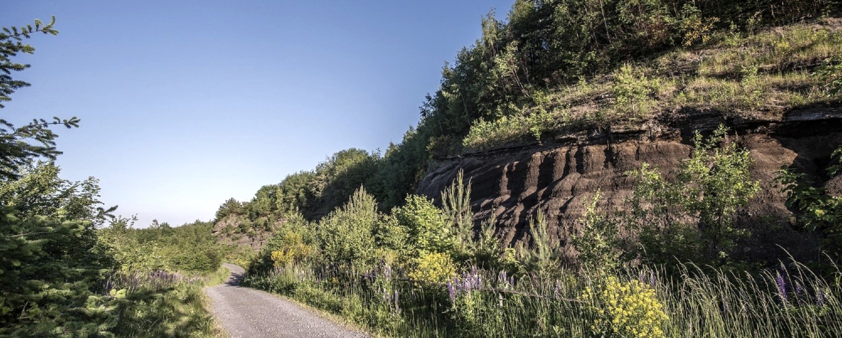 Schwarze Wand mit Blumen, &copy; Kappest/VG Pellenz