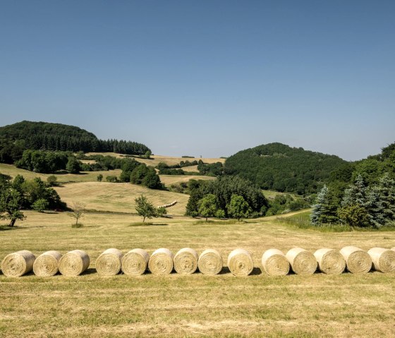 Schöne Landschaft am Bahnhof Engeln, © Eifel Tourismus GmbH, Dominik Ketz
