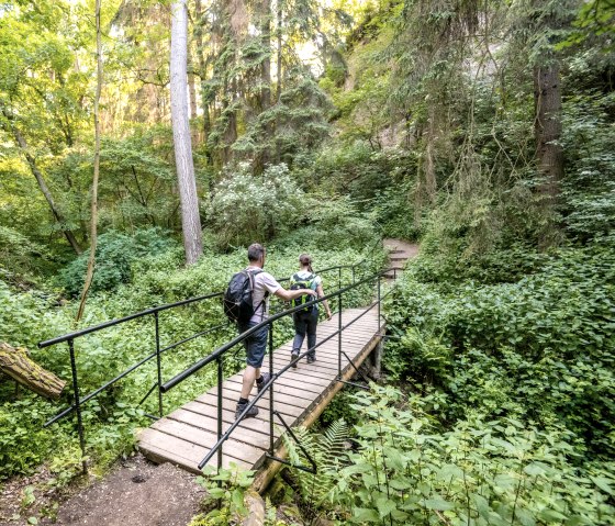 Zwei Personen wandern über eine Holzbrücke in einem dichten, grünen Wald auf dem Traumpfad Höhlen- und Schluchtensteig., © Eifel Tourismus GmbH, Dominik Ketz