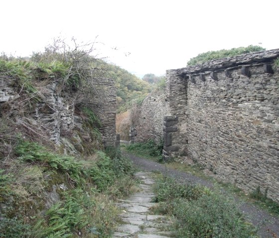 Intérieur du château, © VG Pellenz/Manea
