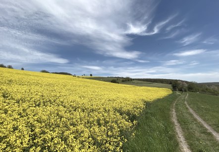 Eifel landscape Niederd&uuml;renbach, &copy; Christof B&uuml;rger