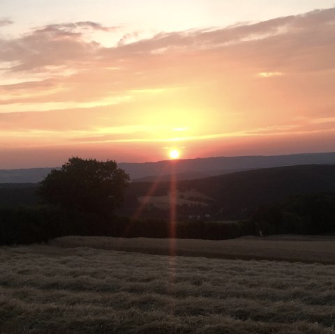 Schöne Aussicht, © Gabriele Arzdorf