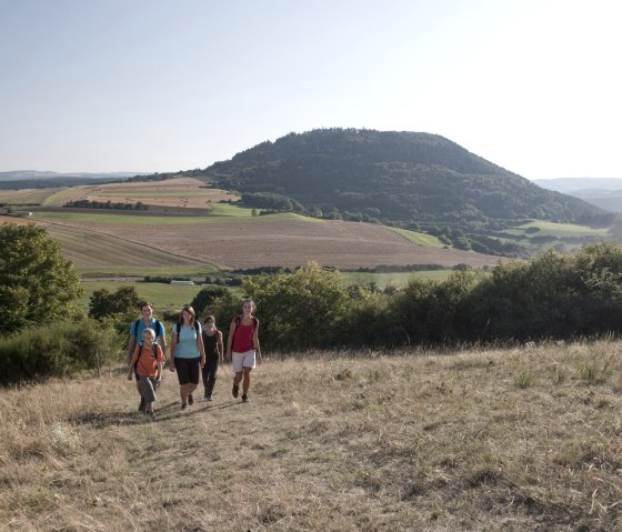 Fünf Wanderer auf einer Wiese, im Hintergrund der bewaldete Hochsimmer. Weite Felder und Hügel unter klarem Himmel., © Traumpfade/Kappest