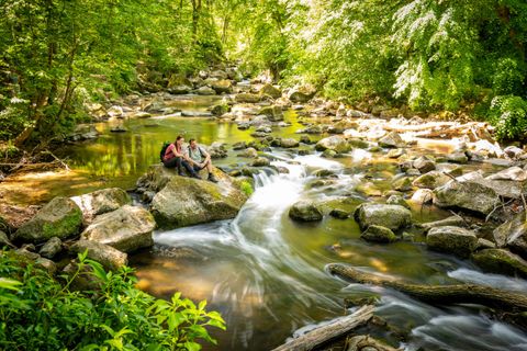 An idyllic river with clear water stones and lush greenery. A couple sits relaxed on the bank and enjoys nature.